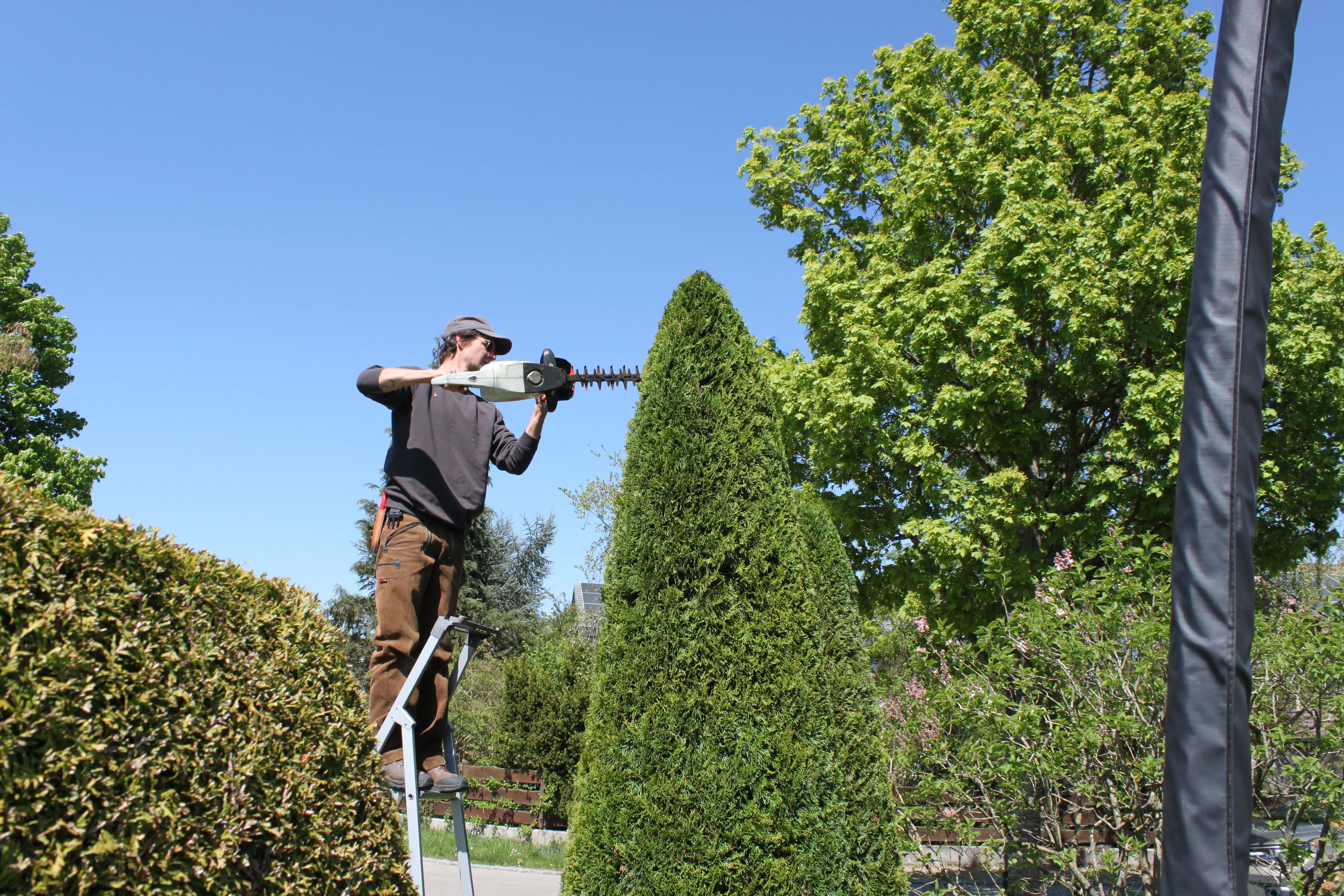 Gartenpflege — Beispielbild